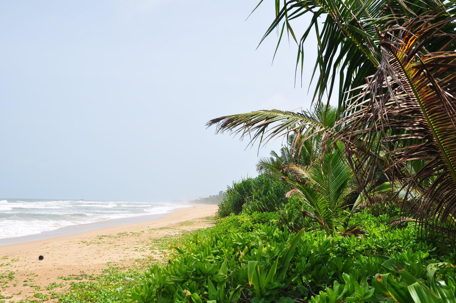 Beach and coastal scenery in Bentota, Sri Lanka